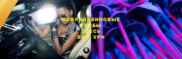 ПСИЛОЦИБИНОВЫЕ ГРИБЫ Богородицк