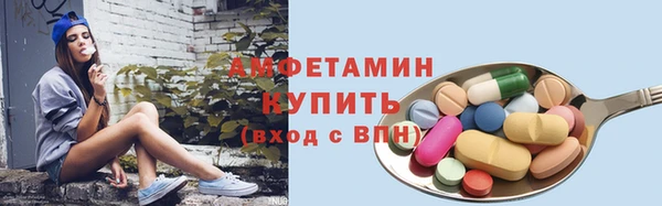 гашик Богородск