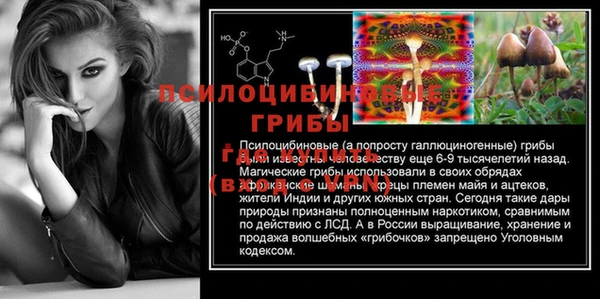 гашик Богородск