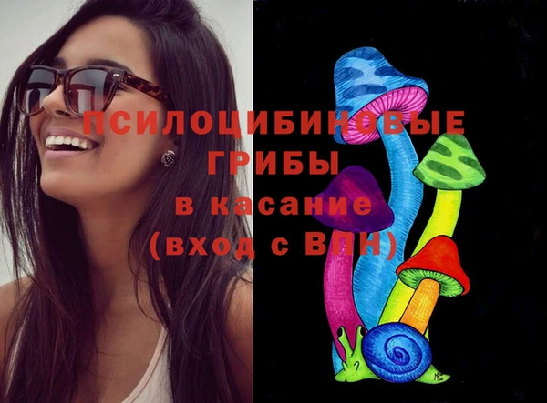 ПСИЛОЦИБИНОВЫЕ ГРИБЫ Богородицк