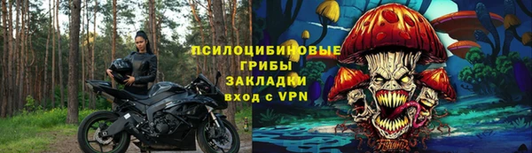 марки lsd Богданович